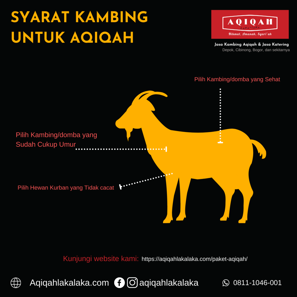 aqiqah laka-laka