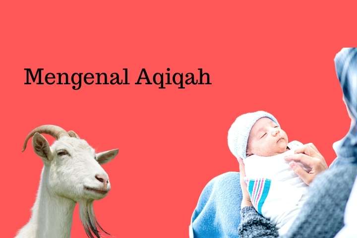 Mengenal dan Memahami Aqiqah sebagai Salah Satu Sunnah Rasul