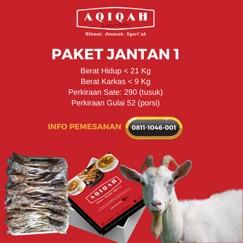 jasa aqiqah bogor