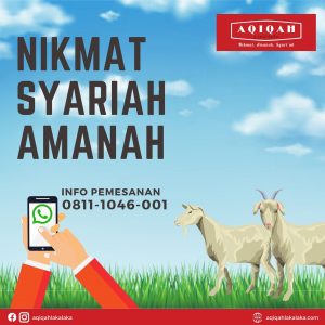 pesan aqiqah wilayah bogor