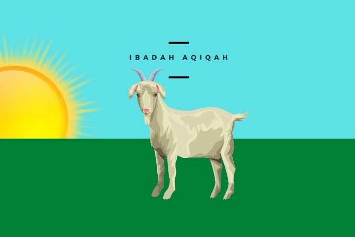 Tujuan dan Keutamaan Aqiqah